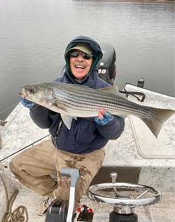 Lake Lanier Striper