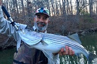 Lake Lanier Striper